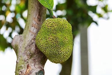 炫技墨西哥，《极限竞速：地平线5》携手佩雷兹演绎时空联动